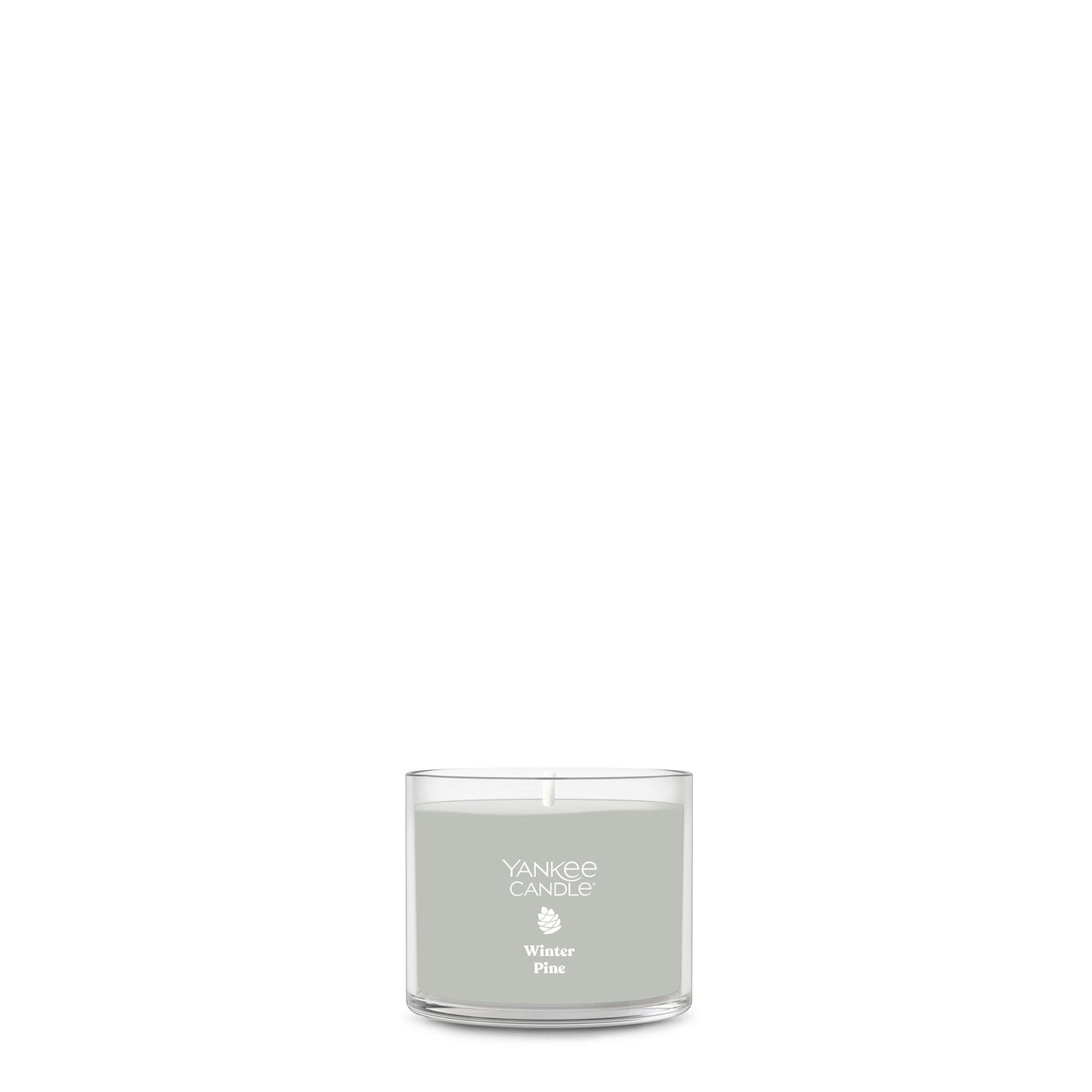 Winter Pine | Bright Choice