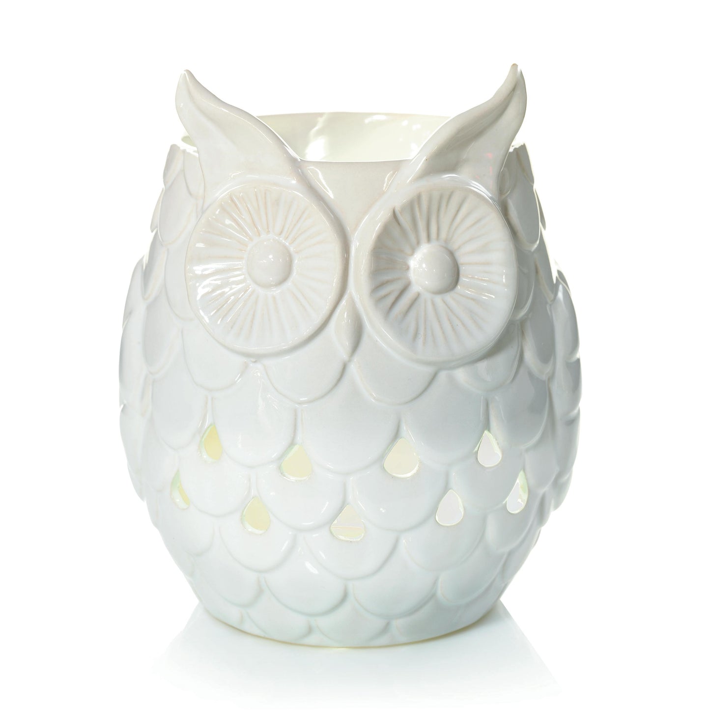 Owl | Clean Series