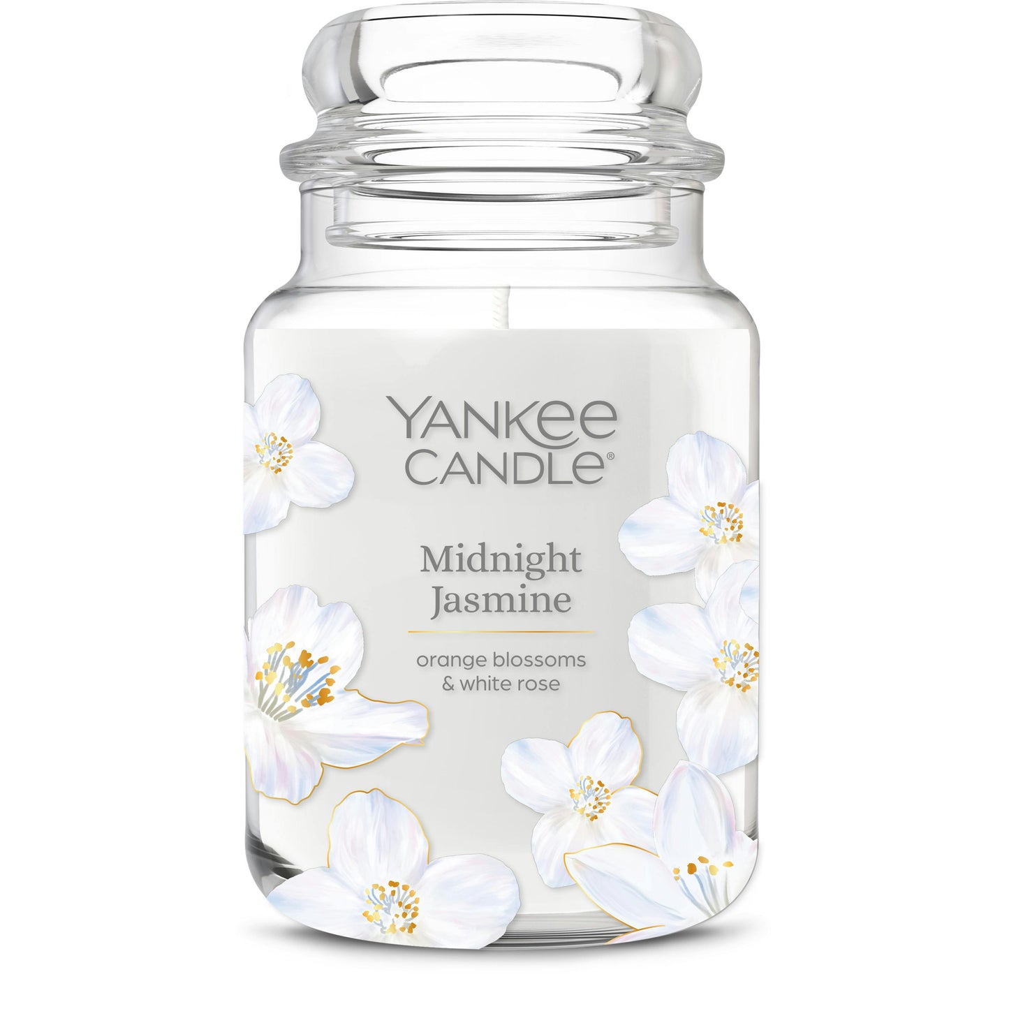 Midnight Jasmine | Signature Pick