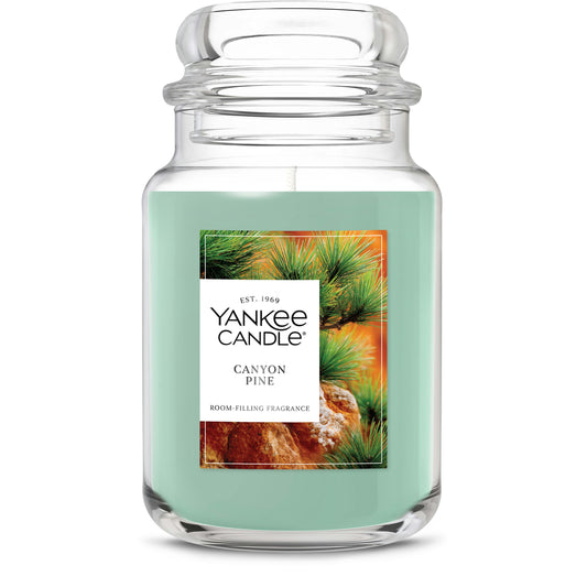 Canyon Pine | Clean Series