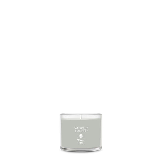 Winter Pine | Bright Choice