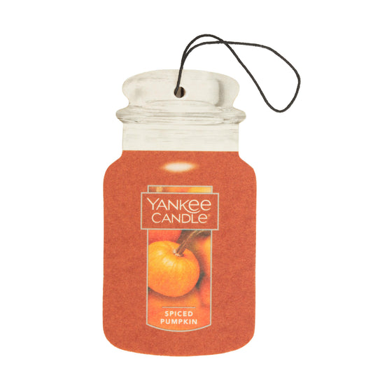 Spiced Pumpkin | Bright Choice 08