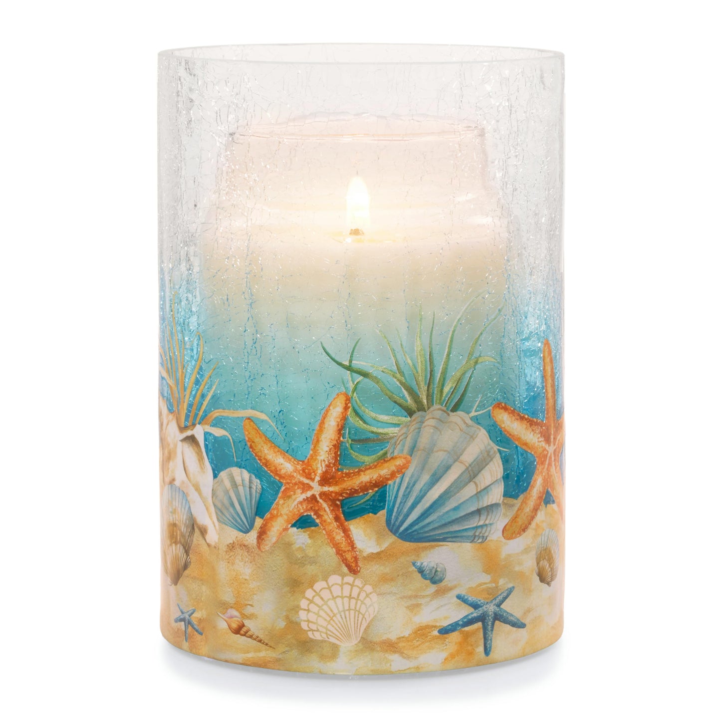 Coastal Jar Candle Holder | Modern Pick