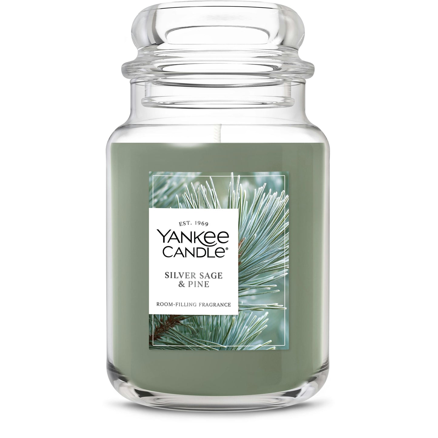 Silver Sage & Pine | Daily Edit