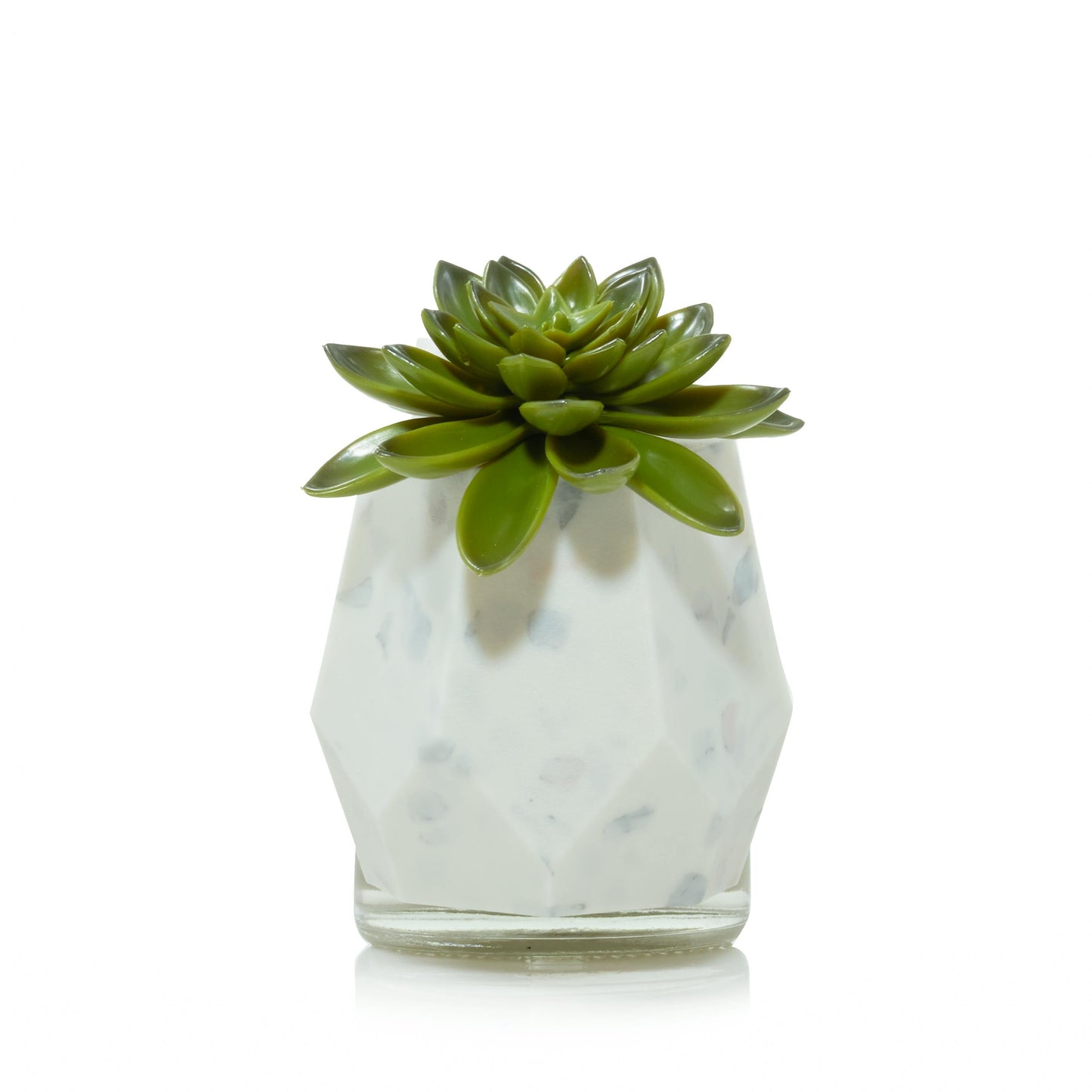 Faceted Succulent ScentPlug® Diffuser with Light | Fresh Choice