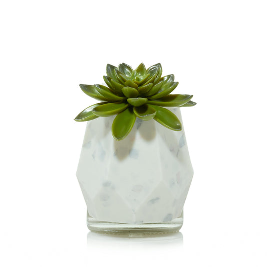 Faceted Succulent ScentPlug® Diffuser with Light | Fresh Choice